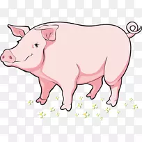 ����ͨ������.��ͨ����-������