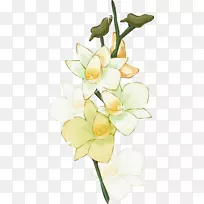 花卉设计-空若网 花卉设计-空若网