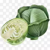 Î÷À¼»¨Ê߲˰üÐIJË-¿ÕÈôÍø Î÷À¼»¨Ê߲˰üÐIJË-¿ÕÈôÍø