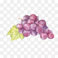 ˮ�ʻ���������-������