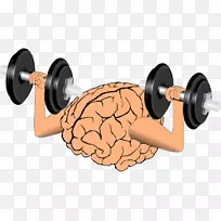 脑认知训练神经系统工作记忆神经可塑性-空若网 脑认知训练神经系统工作记忆神经可塑性-空若网