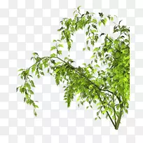 剪贴画-空若网 剪贴画-空若网