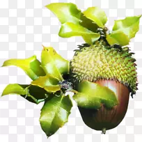 ÏðÊ÷²©¿ÍÉÁÖ¼ôÌù»-Ïð×Ó-¿ÕÈôÍø ÏðÊ÷²©¿ÍÉÁÖ¼ôÌù»-Ïð×Ó-¿ÕÈôÍø