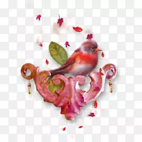 鸟博客-鸟-空若网 鸟博客-鸟-空若网