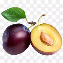 普通李干果营养-大李PNG枝叶-空若网 普通李干果营养-大李PNG枝叶-空若网