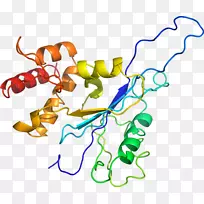 生物线动物剪贴画线-空若网 生物线动物剪贴画线-空若网