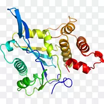 线点生物剪贴画线-空若网 线点生物剪贴画线-空若网