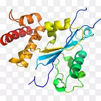 人体首饰有机体线剪贴画线-空若网 人体首饰有机体线剪贴画线-空若网