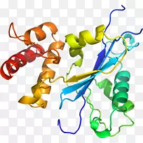 人体首饰有机体线剪贴画线-空若网 人体首饰有机体线剪贴画线-空若网