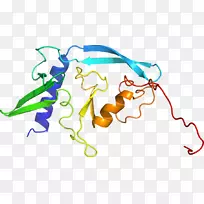 �ߵ������-��-������