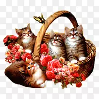 电脑图标动画桌面壁纸动画-空若网 电脑图标动画桌面壁纸动画-空若网