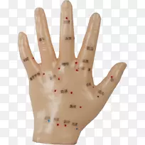 Ĵָ��ģ��������-������