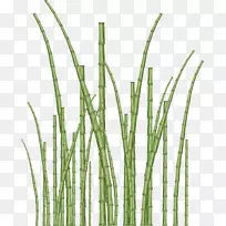 ���������Ʒֲ�ﾥ-��-������