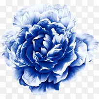 水彩画牡丹剪贴画牡丹图案-空若网 水彩画牡丹剪贴画牡丹图案-空若网