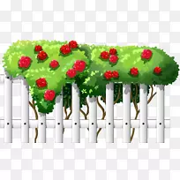 玫瑰插花艺术-玫瑰-空若网 玫瑰插花艺术-玫瑰-空若网