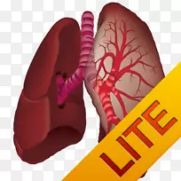 热带风暴前缘-rts android沙漠风暴前缘-rts-android-空若网 热带风暴前缘-rts android沙漠风暴前缘-rts-android-空若网