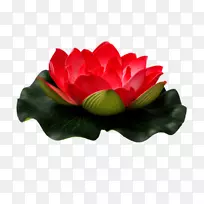 埃及莲花艺术-空若网 埃及莲花艺术-空若网