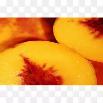 ÌÒÖÃÛÃÛ-¿ÕÈôÍø ÌÒÖÃÛÃÛ-¿ÕÈôÍø