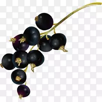 ��֭��ݮ��ʵ-������