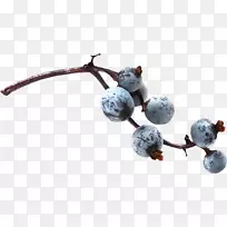 ��ݮ��֭��������-��ݮˮ��-������