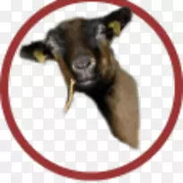 鼻犬科-狗-空若网 鼻犬科-狗-空若网