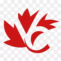 ��������͹�����ô�verca��������ʼ���������-������