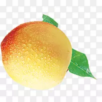 Ѫ������������-������