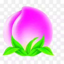 ³¤ÊÙÌÒ×ÊÁÏ-ÌÒ-¿ÕÈôÍø ³¤ÊÙÌÒ×ÊÁÏ-ÌÒ-¿ÕÈôÍø