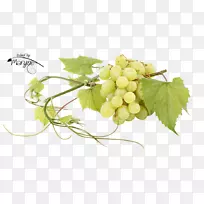 苏大拿葡萄无核果汁葡萄-空若网 苏大拿葡萄无核果汁葡萄-空若网