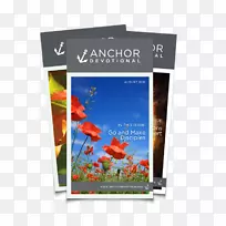 摄影纸横幅摄影-空若网 摄影纸横幅摄影-空若网