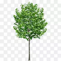 ��-��-������