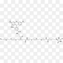 叠氮化物点击化学荧光基团-空若网 叠氮化物点击化学荧光基团-空若网