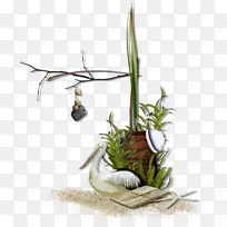 中央博客夏天登陆单身海滩-海滩-空若网 中央博客夏天登陆单身海滩-海滩-空若网