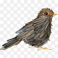 �ȸ��ë-������