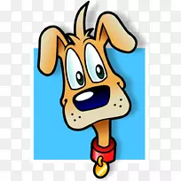 ��С��è���������-��-������