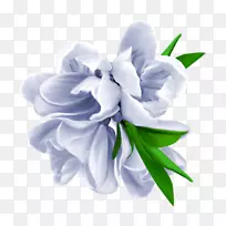 ������Ӱ������-��-������