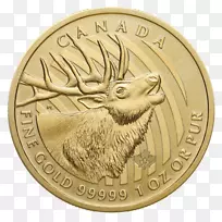 加拿大皇家铸币金币-加拿大-空若网 加拿大皇家铸币金币-加拿大-空若网