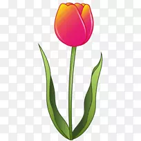 郁金香表情标签短信-郁金香-空若网 郁金香表情标签短信-郁金香-空若网