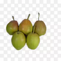 ÑÇÖÞÀæxd 7¿¾Àæ-ÃÀζÀæ-¿ÕÈôÍø ÑÇÖÞÀæxd 7¿¾Àæ-ÃÀζÀæ-¿ÕÈôÍø