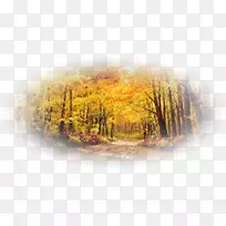 网页设计博客秋季-万维网-空若网 网页设计博客秋季-万维网-空若网