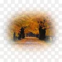 �����ֽ�＾-�＾-������