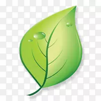 Brevard博客电脑图标健康-人的家庭承诺-空若网 Brevard博客电脑图标健康-人的家庭承诺-空若网