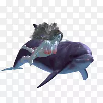 海豚博客鱼安卡拉-海豚-空若网 海豚博客鱼安卡拉-海豚-空若网