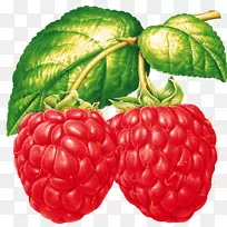 覆盆子蔬菜果-空若网 覆盆子蔬菜果-空若网