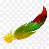 浮动羽毛画水彩画剪贴画羽毛-空若网 浮动羽毛画水彩画剪贴画羽毛-空若网