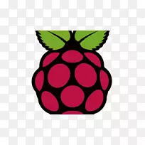 raspberry pi�����������װ-������