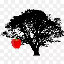 树画白橡木剪贴画-树-空若网 树画白橡木剪贴画-树-空若网