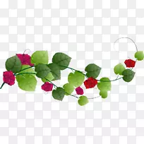 ���ؼ�����-������