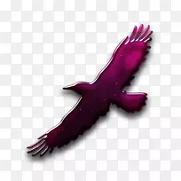 �������ż����ͼ��-��-������