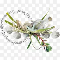 ɳ̲������-��-������